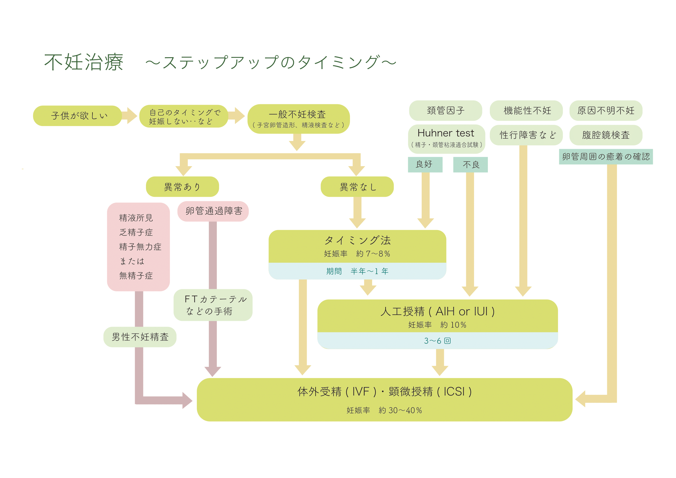 検査・治療の流れ